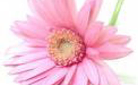 Konfirmantarnir í Tvøroyrar kirkju sunnudagin 4. oktober.