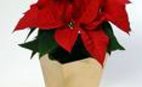 Gleðilig jól og gott nýggjár