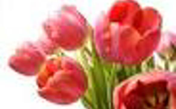 Kvinnudagurin og fólkakirkjan