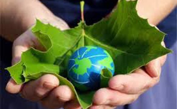 Fólkakirkjan sett grøna nevnd