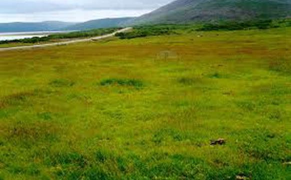 Heystgudstænasta í Porkeri