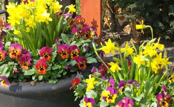 Gleðiligar páskir (1)