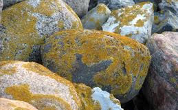 Syngjandi grót – í Kvívíkar kirkju