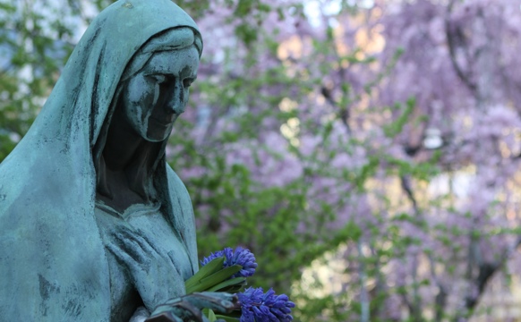 Ein altíð vakur várdagur